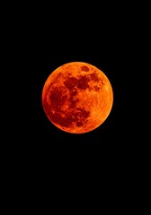 Obraz premium Vivid orange full moon with detailed craters against a stark black sky