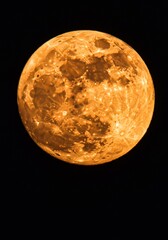 Obraz premium Amber Hues of a Full Moon Night