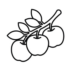Simple line art illustration of apples on a branch with leaves