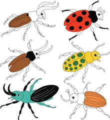 collection of insects
