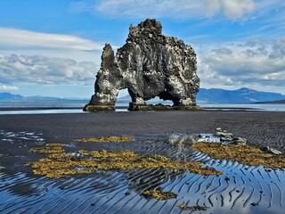 Hvítserkur Island Basaltfelsen auf Halbinsel Vatnsnes