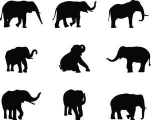 Elephant silhouette collection, black animal icons, trunk poses, wildlife vector illustration, safari creature shapes, nature design elements, standing elephants
