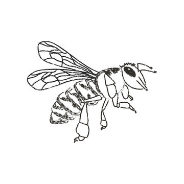 black and white bee flying clip art preview
