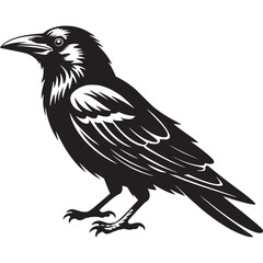 Vector art of detailed black silhouette of a raven perched, , representing mystery, intelligence, and the supernatural