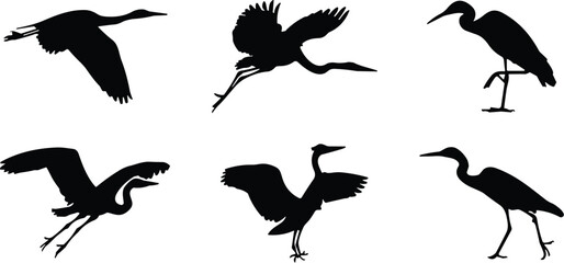 Heron silhouette collection, flying and standing poses, wading bird icons, black vector illustration, nature design, graceful wildlife movement