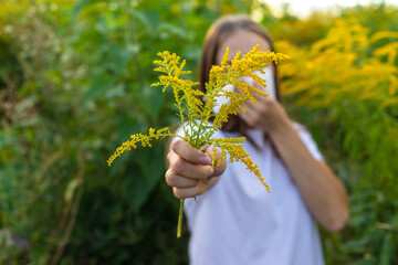 A woman is allergic to ragweed. Nature.