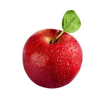 apple read appla