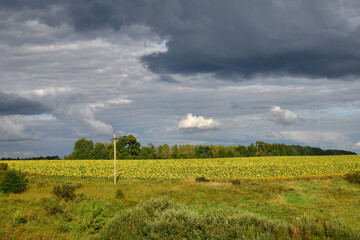 Rural landscape with stormy sky, Russia