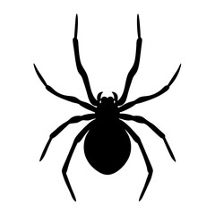 Black spider vector illustration arachnid insect silhouette halloween creepy crawly danger fear scary spooky web eight legs