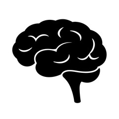 Brain illustration for medical education and neuroscience studies human brain anatomy and function