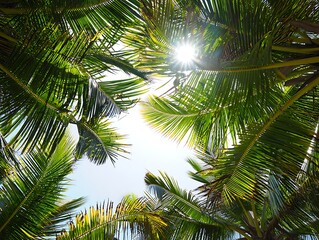 Naklejka premium Palm trees against a bright sunny tropical sky