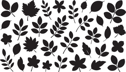 Fototapeta premium Botanical Silhouette Collection Diverse Leaf Shapes Isolated on Transparent Background Vector Art