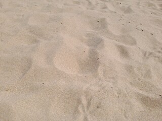 footprint in the sand