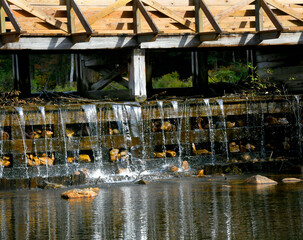 Spillway at Crawford Notch State Park
