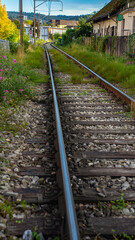 Active railway tracks with grass between sleepers in a rural landscape. Train transportation scene in summer