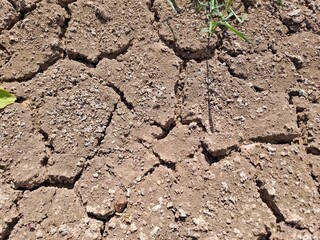 cracked soil background