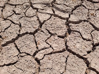 dry cracked earth
