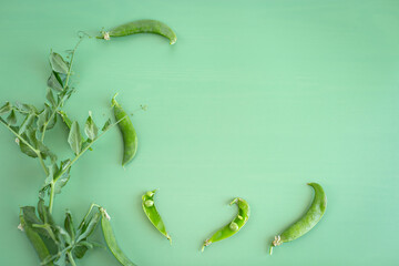 Organic peas with branches on green surface