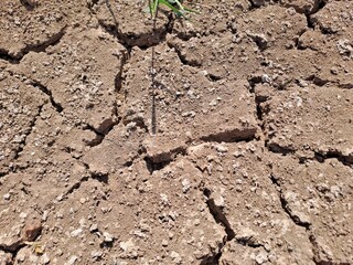 cracked soil background