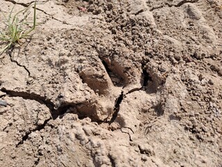 a footprint on the ground