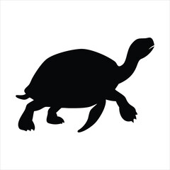Silhouette of a walking tortoise on a white background