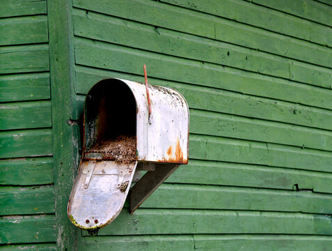 Mailbox Recycling for the Birds - Powered by Adobe