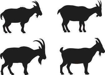 Four black silhouette goat poses standing isolated on white background