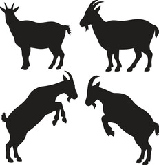 Four black silhouette goats posed in different actions on white background