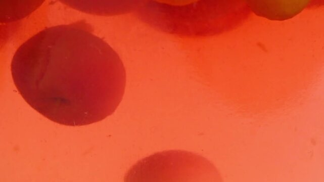 Fruits and berries floating in the compote. Food