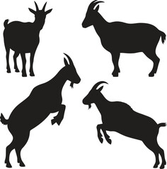 Four black silhouette goats in different poses on white background