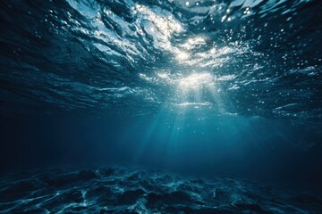 Underwater sunbeams illuminate dark ocean floor (4)