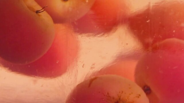 Fruits and berries floating in the compote. Food