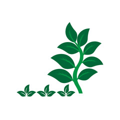 green leaves isolated on white background