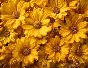 yellow flowers background