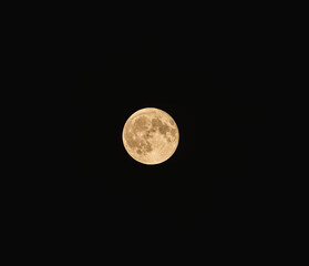Full moon in the night