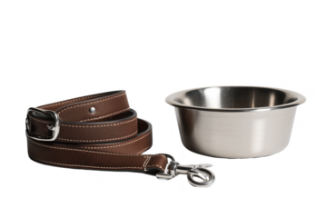 Brown leather dog leash and metal bowl on background isolated on a transparent background image