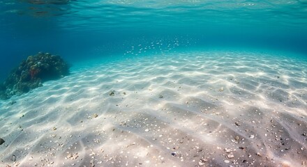 Fototapeta premium Underwater Sandy Ocean Floor.