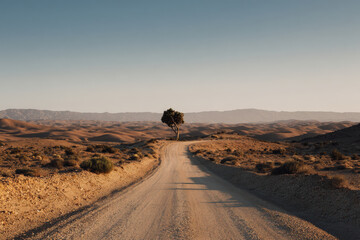 sandy road stretches into distance leading through vast desert landscape with single ultrabright cactus on horizon