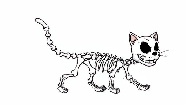 Cartoon Skeleton Cat Walking Animation - A full-frame illustration of a cartoon skeleton cat walking, video in black and white with a simple, slightly sketchy style.