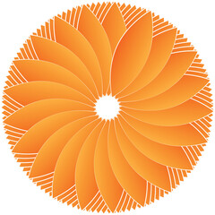 orange flower vector