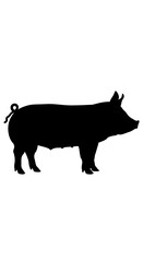 Simple, side-view silhouette of a pig, displaying its form and features.