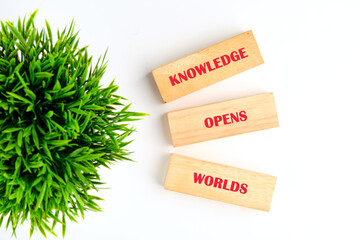 Academic education learning concept. Words KNOWLEDGE OPENS WORLDS made of wooden blocks on white background with green plant, top view