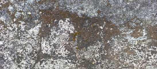 Abstract Natural Grunge Banner of a Mossy Surface