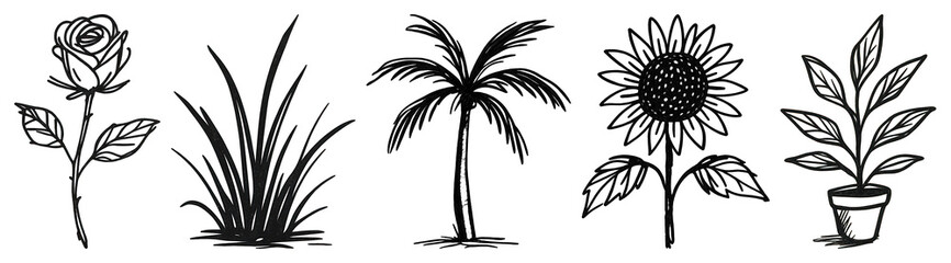 PNG Hand-drawn botanical plant collection, element set on transparent background
