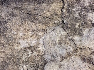 Brutalist Grunge Texture of a Cracked Concrete Surface