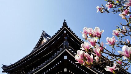 Magnolia Blossoms Framing Traditional Architecture Against a Clear Blue Sky in a Serene Outdoor Setting, Celebrating the Beauty of Nature and Culture