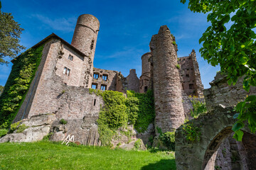 The Majestic and Enigmatic Ruins of an Ancient Castle are Beautifully Surrounded by Lush Greenery. Burg Hanstein castle ruins, The historic Castle Hanstein in Thuringia.