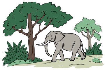 elephant in the forest