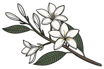 vector illustration of a flower