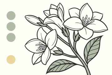 vector illustration of a flower